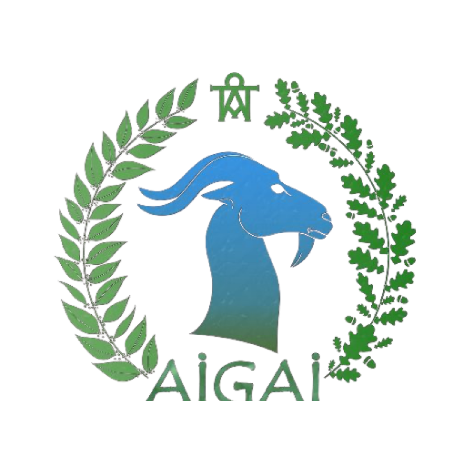 Aigai